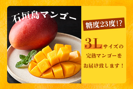 《2026年6月下旬～7月下旬発送》【先行予約】最高糖度20度！？ 完熟！3Lサイズ 石垣島マンゴー 2玉約900g【 沖縄 石垣島 石垣 八重山 マンゴー 完熟マンゴー 期間限定 数量限定 】TF-5-1_R8