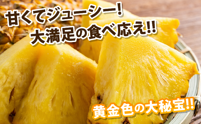 【先行予約2026年5月下旬ころから順次発送】最高糖度20度！？石垣島産完熟ゴールドバレル 2玉 約2.5kg