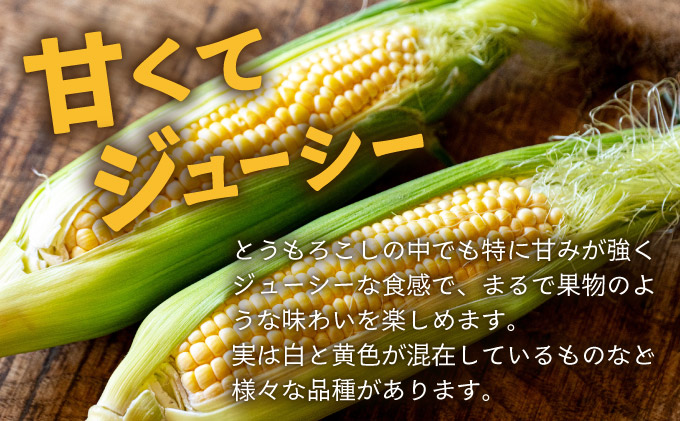 【先行予約2025年12月-2026年4月】 1番遅くて1番早い_ 朝採れプレミアムスイートコーンを皮付きのまま８本お届け！！