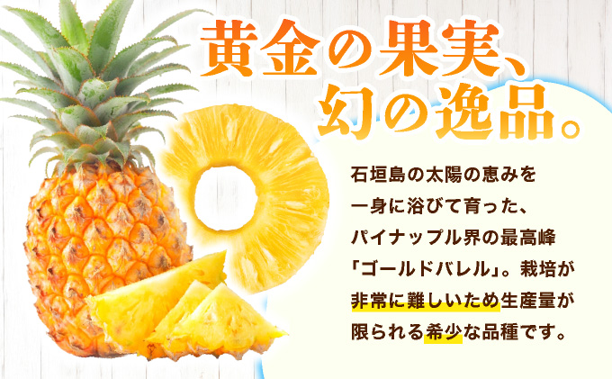 ≪5月上旬順次発送≫ ゴールドバレル 小 3玉（約3kg） TP-15