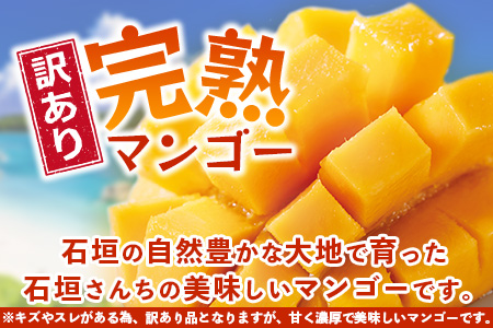 2026年発送分【先行予約】【訳あり】石垣島産 マンゴー (アーウィン種) 9～12玉(箱含め約5kg) 《2026年7月以降より順次発送》《樹齢30年の木で育ったマンゴー》｜産地直送 沖縄 石垣島 マンゴー アーウィン マンゴー フルーツ TP-3 【訳あり】約5kg（9～12玉）