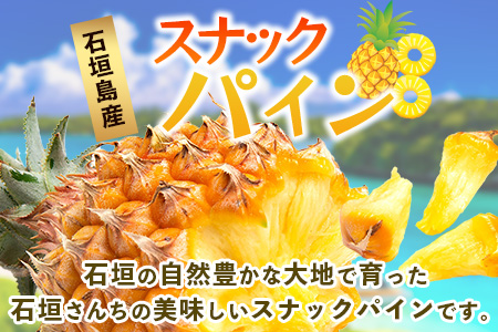 【先行予約】《2026年5月上旬頃より順次発送》石垣島産 スナックパイン (3玉 約3kg)【 産地直送 沖縄 石垣 パイナップル フルーツ 】TP-7-1 3玉（約3kg）