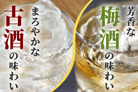 おもと3年古酒＆おもと梅酒セット 【沖縄県 石垣市 石垣島 酒 泡盛 梅酒 セット 】 TS-3