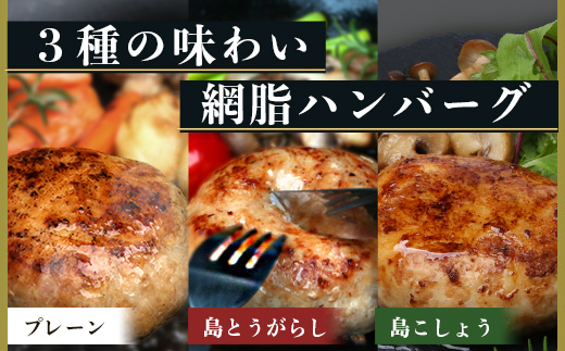 石垣島産 やえやまファームのアグー豚(南ぬ豚) 網脂ハンバーグ食べ比べセット(3種×各2個)  E-26
