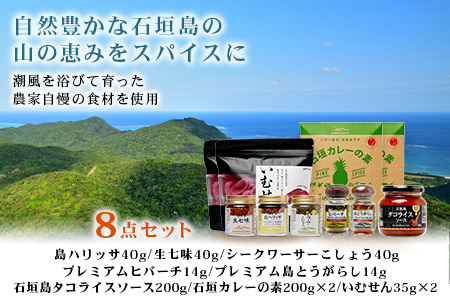 UY-2 石垣島海のもの山のものスパイス&オリジナル詰め合わせセットB