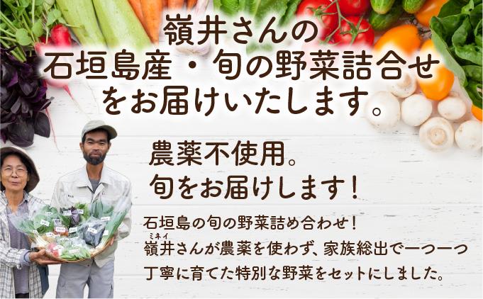 嶺井さんの石垣島旬の野菜詰合せ（標準セット）OI-22 標準セット