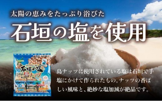 石垣の塩 島ナッツ 大×5袋 大(16g×15)×5袋