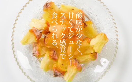 【先行予約】石垣島産 スナックパイン ずっしりの「大玉」3個入り 《2026年5月以降発送》 SI-26-1 大玉 3玉 約3.9kg