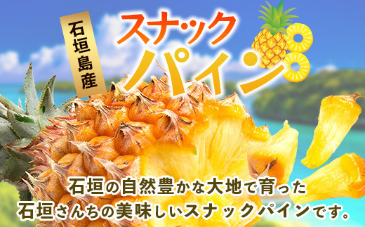 【先行予約】《2026年5月上旬頃より順次発送》石垣島産 スナックパイン (6玉 約6kg) 【 産地直送 沖縄 石垣 パイナップル パイン スナック フルーツ トロピカル 南国 】 TP-9-1 6玉（約6kg）