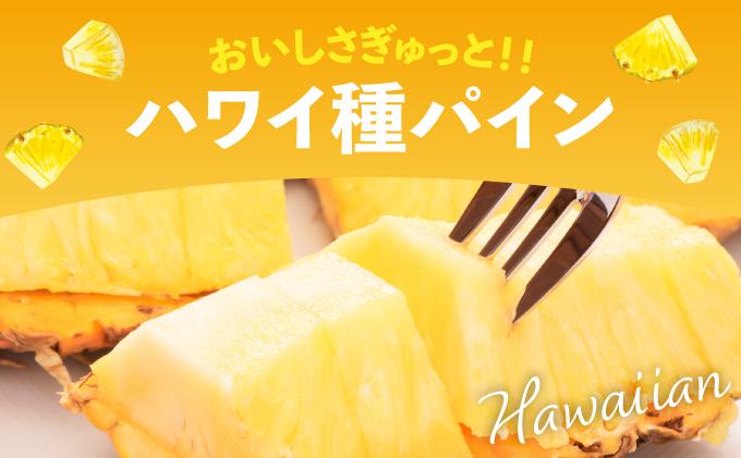 【2026年4月中旬発送】訳あり 石垣島産 ハワイ種パイナップル 約4kg（4～10個）KP-02 | ふるさと納税 パイナップル 産地直送 フルーツ 果物 パイン 石垣 沖縄 沖縄県石垣市 石垣島 ハワイ種 約4kg