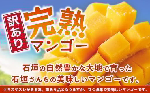 【訳あり】石垣島産 マンゴー (アーウィン種)  9～12玉(箱含め約5kg) 《樹齢30年の木で育ったマンゴー》｜産地直送 沖縄 石垣島 マンゴー  アーウィン マンゴー フルーツ TP-3 【訳あり】約5kg（9～12玉）