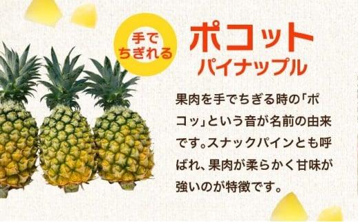 訳アリ 業務用冷凍カットパイナップル500g×3点セット PU-02 訳アリ：500g×3個(3種1個ずつ)