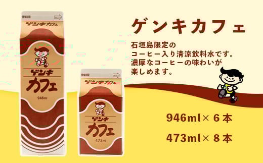 【ふるさと納税限定】ゲンキカフェバリューセット【八重山ゲンキ乳業】【日本最南端の乳業】【伊盛牧場産 生乳100％使用】GN-5-1