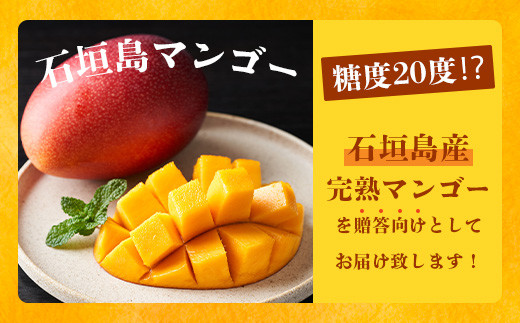 《2026年6月下旬～7月下旬発送》【先行予約】最高糖度20度！？ 完熟の極！3Lサイズ 石垣島マンゴー 1玉入り約400g【贈答向け】【 産地直送 完熟マンゴー アーウィン マンゴー 沖縄 八重山 石垣島産 】TF-11-1_R8