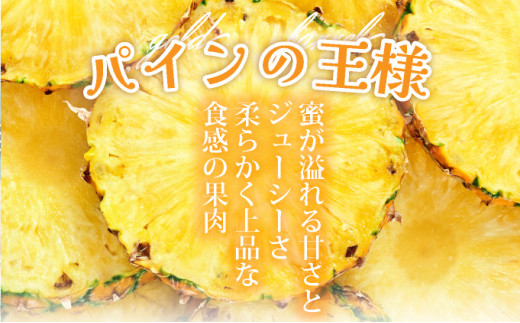 ＜先行予約＞ 石垣島産 ゴールドバレルパイン 大玉２個入り 約3.4kg ＜2026年7月以降発送＞ | 産地直送 沖縄 石垣 フルーツ パイナップル パイン ゴールドバレルパイン SI-39 【大玉】2玉入り(計約3.4kg)