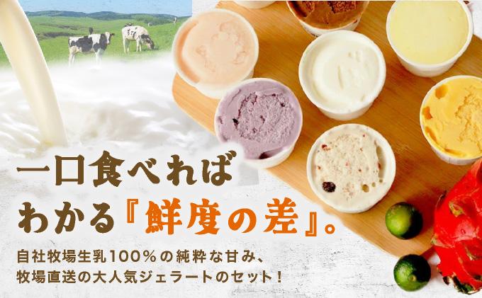 石垣島ミルミル本舗 南の島から島素材ジェラート！【定番人気セット 12個入り】（1個 132ml）　Z-7　【石垣島 石垣市 沖縄県石垣市 セット ジェラート 石垣島産 八重山】 定番人気セット