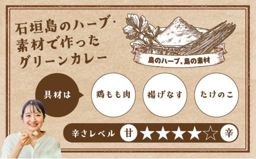 石垣島 ユーグレナグリーンカレー 3袋(200g×3) | 石垣島名物 カレー 長命草 レトルト 人気 便利 グリーンカレー curry 鶏もも なす たけのこ KB-189