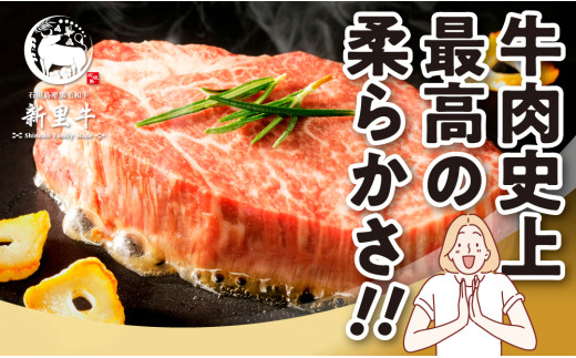 石垣島産 黒毛和牛 新里牛 厚切りヒレミニステーキ（訳あり・形がふぞろい・不定貫）（150g～200g×2）合計350g以上 ステーキ 焼肉 バーベキュー SZ-31