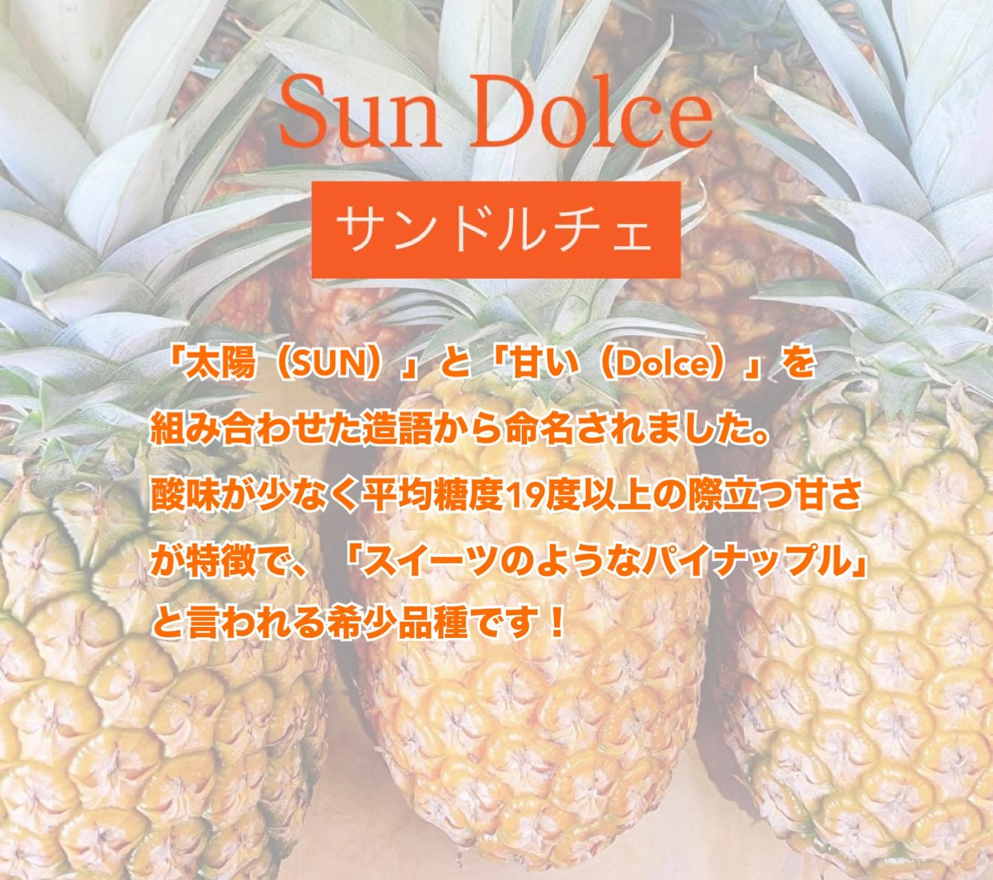 ＜先行予約＞ 農家直送！石垣島産サンドルチェ 2個セット 約3.5kg ＜2026年4月中旬発送＞ | パイナップル パイン 沖縄県 石垣市 石垣島 南国 フルーツ 果物 季節限定 YE-004