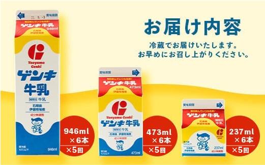 【ふるさと納税限定】【定期便_5回】ゲンキ牛乳バリューセット【八重山ゲンキ乳業】【日本最南端の乳業】【伊盛牧場産 生乳100％使用】GN-3_5t 定期便5回