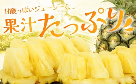 【先行予約】《2026年7月上旬頃より順次発送》石垣島産 ハワイ種パイン 2～3玉セット 約3㎏【 産地直送 石垣島産 石垣 完熟 パイン パイナップル 】TD-6