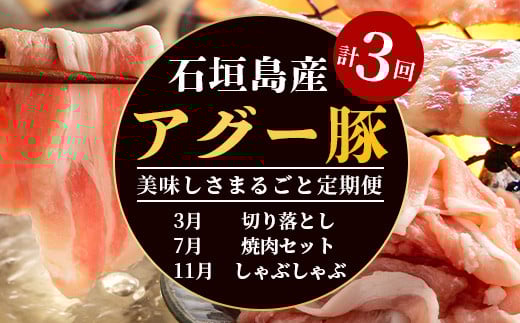 【3回定期便】石垣島産 やえやまファームのアグー豚の 3回定期便（3月、7月、11月お届け）｜南ぬ豚 アグー豚 焼肉 食べ比べ 豚肉 石垣 石垣島 沖縄 八重山 やえやまファーム  E-30-1