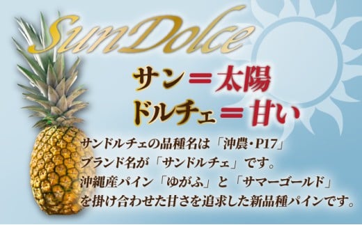 【先行予約】《2025年夏季 順次発送》【訳あり】石垣島産 サンドルチェパイン 約3.5～4kg【甘さ最高パインの「訳あり」の大小混合セット】【規格外】SI-28 訳あり大小混合 3～6個