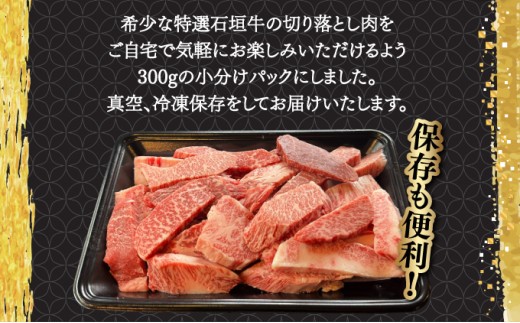 【2025年11月以降順次発送】希少な特選石垣牛をご家庭で！！切り落とし焼肉用300g&石垣牛 MARU秘伝の焼肉タレ100ml×1本 | 沖縄 石垣 特選 牛 切り落とし 焼 肉 タレ | IM-37 切り落とし焼肉用300g+焼肉タレ1本