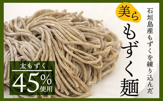 石垣島産　美らもずく麺（生麺2人前）&塩もずく（石垣島産太もずく）【 沖縄 石垣島 美ら もずく 麺 塩 】RR-1