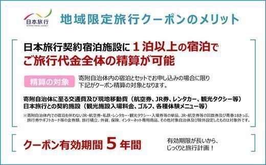 沖縄県石垣市 日本旅行 地域限定旅行クーポン 300,000円分（Eメール発行） 【 日本旅行 トラベルクーポン 納税チケット 旅行 宿泊券 ホテル 観光 旅行 旅行券 交通費 体験 宿泊 夏休み 冬休み 家族旅行 ひとり旅 カップル 夫婦 親子 石垣島旅行 】NR-011