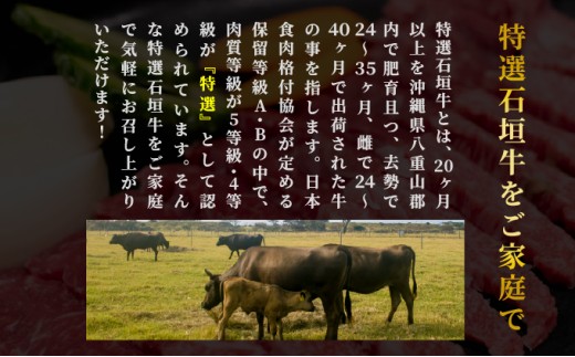 【2025年11月以降順次発送】希少な特選石垣牛をご家庭で！！ロースとカルビ焼肉用食べ比べセット合計400g &石垣牛 MARU秘伝の焼肉タレ100ml×1本 | 沖縄 石垣 特選 牛 ロース カルビ 肉 焼肉 食べ比べ 真空 冷凍 タレ | IM-66