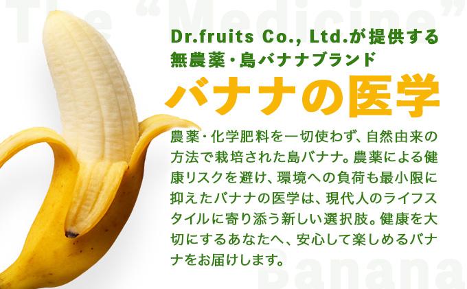 バナナの医学 石垣島産 島バナナ 約1kg 農薬不使用 | バナナ 石垣 沖縄 1kg 無農薬 DF-001