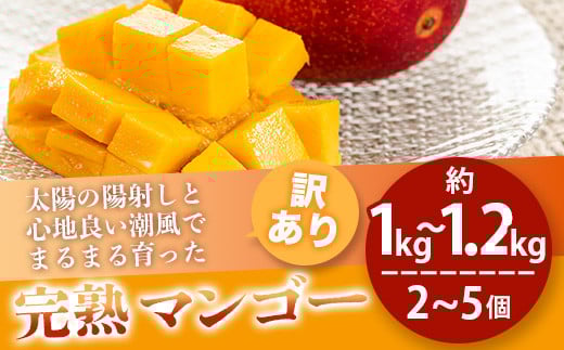 ＜先行予約＞【訳あり】 完熟 マンゴー (約1〜1.2kg 2〜5個)《2026年7月上旬から順次発送》 | ふるさと納税 マンゴー わけあり 不揃い 産地直送 フルーツ 果物 マンゴー 石垣 沖縄 KP-013