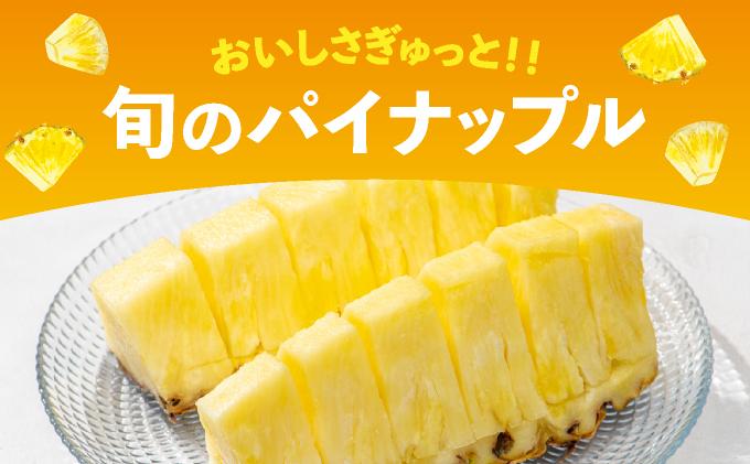 【訳あり】 石垣島産 パイナップル 詰め合わせ 約4kg (3～10個)《2026年4月下旬から発送》 | ふるさと納税 パイナップル 産地直送 フルーツ 果物 パイン 石垣 沖縄 沖縄県石垣市 石垣島 KP-15 季節の詰め合わせ 約4kg