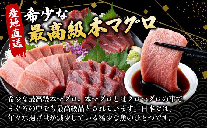 【数量限定】石垣島産 天然本マグロ600g (まぐろ赤身・中トロ・大トロのミックスセット) ヤエスイ マグロ船直送【順次発送】 | 産地直送 大トロ 大とろ 中トロ 中とろ 国産 まぐろ 鮪 天然 赤身 魚 お刺身 本まぐろ マグロ 沖縄県 沖縄 琉球 八重山 八重山諸島 石垣島 石垣 石垣島産 天然本マグロ3種セット