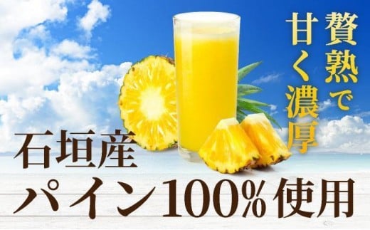 贅熟 石垣島産パインアップルジュース(100%) 500ml×3本 3本