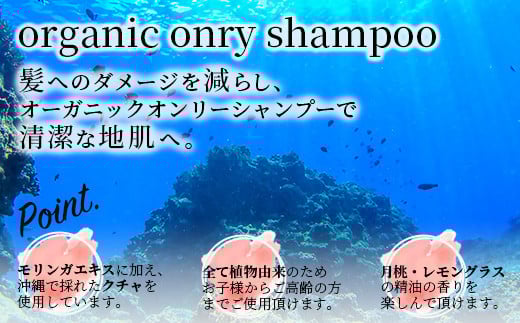 オーガニックオンリーシャンプー  【 美容 石鹸 オーガニック 無添加 】 OR-1 