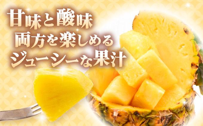 ＜先行予約＞ ハワイ種 パイナップル 4玉 ＜2026年6月発送＞ | 沖縄県 石垣市 石垣島産 パイン パイナップル ハワイ種パイナップル ZH-16