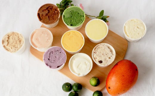 石垣島ミルミル本舗 南の島から島素材ジェラート！【沖縄セット 12個入り】（1個 132ml）　Z-6　【石垣島 石垣市 沖縄県石垣市 セット ジェラート 石垣島産 八重山】  沖縄セット