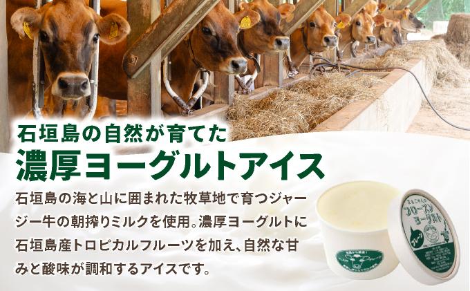 まぁじゅん牧場のフローズンヨーグルトセット 5種詰め合わせ 10個入り (プレーン マンゴー パッションフルーツ パイナップル シークヮーサー) | アイスクリーム トロピカルフルーツ スイーツ 沖縄県石垣市 贈答品