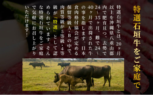 【2025年11月以降順次発送】希少な特選石垣牛をご家庭で！！ロース焼肉用200g×2パック & 石垣牛 MARU秘伝の焼肉タレ100ml×1本 | 沖縄 石垣 特選 牛 カルビ ナカバラ トモバラ 三角バラ バラ 肉 焼肉 真空 冷凍 | IM-65