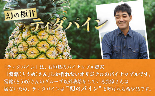 ＜先行予約＞ 當銘さんの完熟カットパイン 1.25kg (250g×5袋) ＜2026年6月上旬から発送＞ | パイナップル パイン 冷凍パイン 沖縄 石垣島 小分け 1.25kg (250g×5袋)