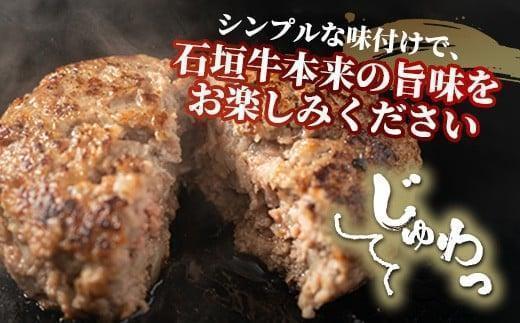 石垣牛 ハンバーグ セット (100g×10個)＜2026年5月発送＞ | 国産 石垣牛100% 沖縄 石垣島産 高級 黒毛和牛 ビーフ ハンバーグセット 2026年5月発送