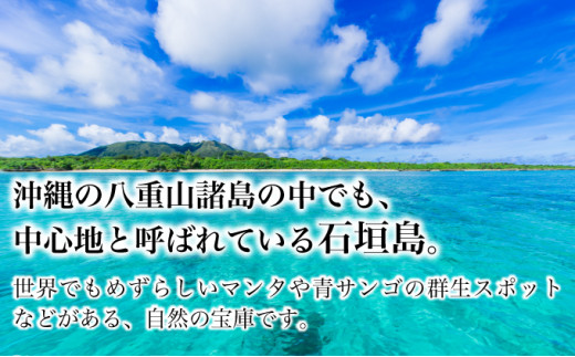 ホテルグランビュー石垣新川　シングル宿泊利用券（1泊朝食付き） シングル宿泊利用券1泊朝食付