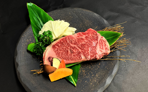 【6回定期便】石垣島きたうち牧場プレミアムビーフ 詰め合わせ 牛肉 肉 定期 肉定期便 6ヶ月 6ヵ月 しゃぶしゃぶ ステーキ 切り落し 切り落とし 焼き肉 すき焼き サーロイン モモ 赤身 AM-17