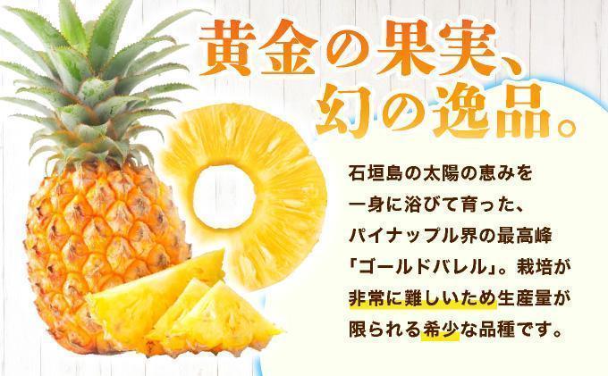 ≪5月上旬順次発送≫ 訳あり ゴールドバレル 中 3玉（約3.5kg） TP-19 訳あり 中 3玉（約3.5kg)