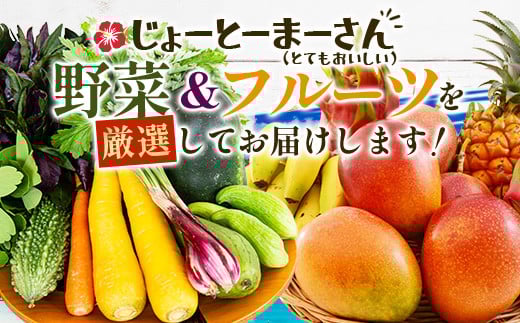 沖縄 石垣島 新鮮 島やさい・くだもの BOX 【 野菜・フルーツ 詰め合わせセット 】1箱 ≪お野菜4～5種類、フルーツ1~2種類≫ ｜沖縄 石垣島 産地直送 旬 果物 フルーツ 新鮮 島野菜 野菜セット 詰め合わせ CK-4 沖縄県 石垣島の野菜・フルーツBOX 1箱