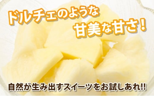 【先行予約2026年6月下旬頃から順次発送】最高糖度20度！？クリーミーな味わいが魅力の石垣島産完熟サンドルチェ 3個セット