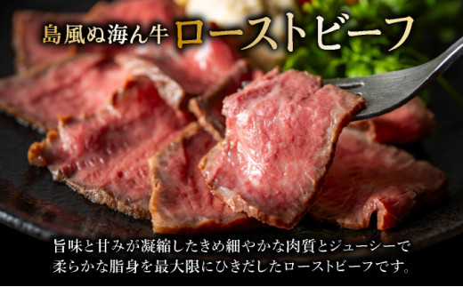 【順次発送】【注目の逸品】極上ローストビーフ 石垣島産《黒毛和牛》 400g | お肉 肉 牛肉 冷凍 和牛 牛肉 冷凍 丼 ジューシー 人気 おすすめ 国産 国産牛 小分け 八重山食肉センター 400g【順次発送】