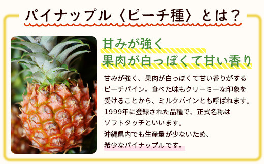 ＜先行予約＞ 石垣島産 有機パイナップル ピーチ種 2～4玉 (約2.4kg)《6月上旬順次発送》| パイナップル パインアップル 石垣島パイン フルーツ 果物 くだもの 南国フルーツ 国産パイン E-40